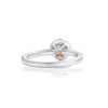 R4274 Nia Platinum and 18ct Rose Gold Round Cut Diamond with Diamond Halo Ring