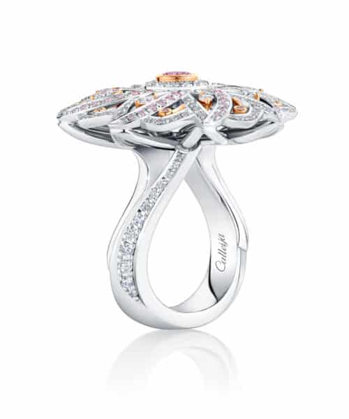 Lyra 18ct White & Rose Gold Dress Ring with 5P Australian Argyle Pink  Diamonds - Fine Jewellery and Argyle Pink Diamond Specialists